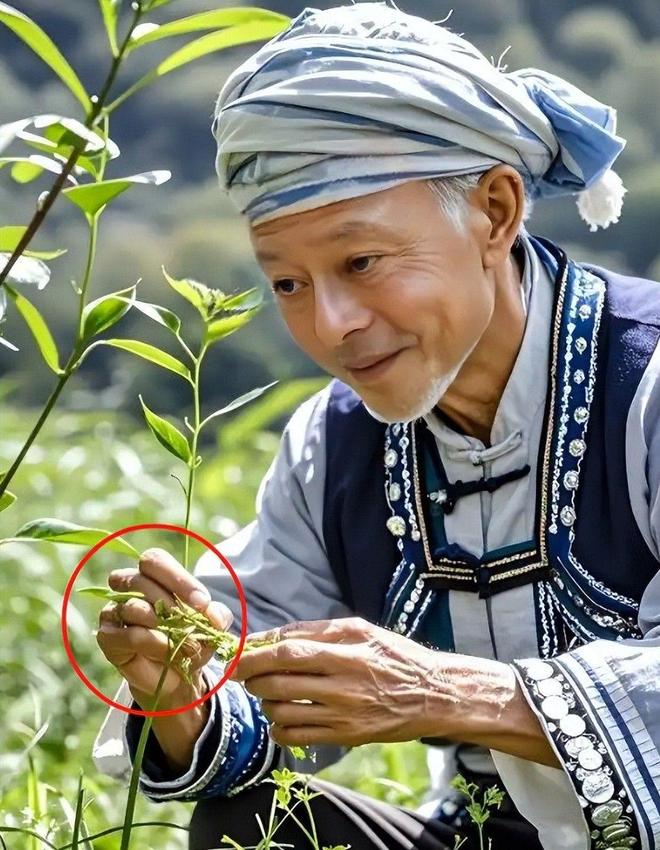 的！价格不菲却销量惊人很多人每天吃mg不朽情缘网站央视曝光：都是假(图16)